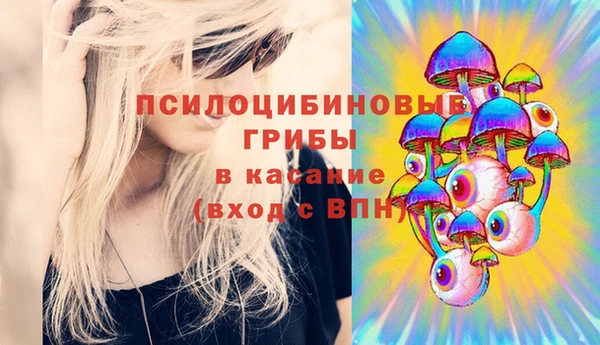 гидропоника Алзамай