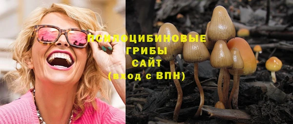 спиды Алексин