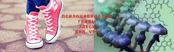 спиды Алексин