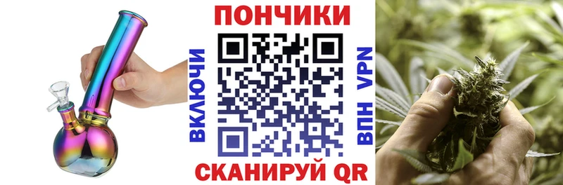 Бошки марихуана SATIVA & INDICA  Чкаловск 